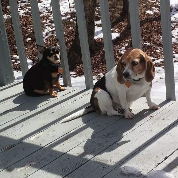 Meet your Posher, Mary a - Picture 5 of 8